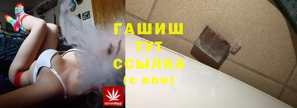 стафф Михайловск