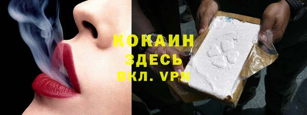 стафф Михайловск