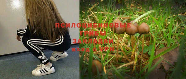 стафф Михайловск