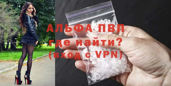 стафф Михайловск