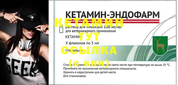 стафф Михайловск