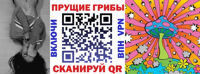 Галлюциногенные грибы Psilocybine cubensis  даркнет сайт  Копейск 